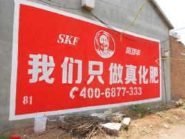 永嘉刷墙广告”蕴含了时代命题