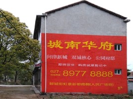 永嘉百分之90的人都不了解的农村墙体广告