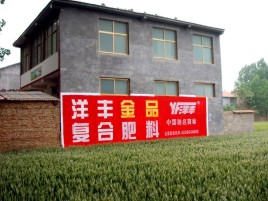 永嘉如何让墙体广告展现最大化效果