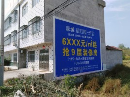 永嘉墙体广告质量分析