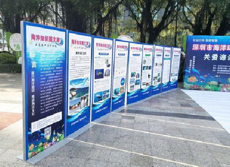 永嘉KT板的种类和知识。